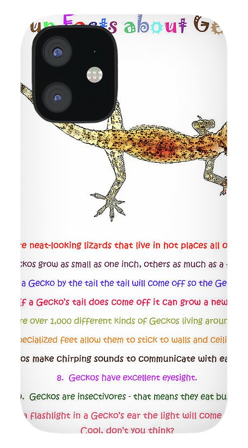 Fun Facts about Geckos iPhone 12 Case by David Ross - Fine Art America