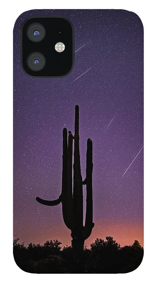 Carnegiea Gigantea iPhone 12 Case featuring the photograph Geminid Meteor Shower #1, 2017 by James Capo