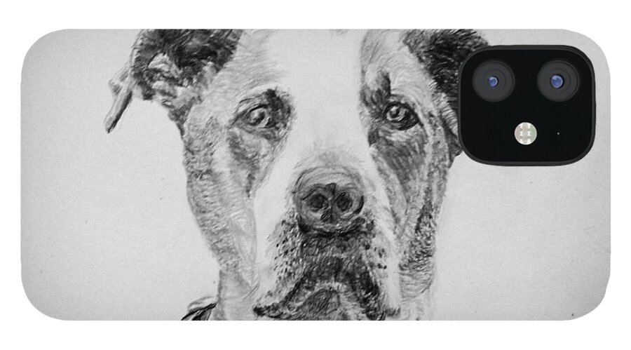 Animal iPhone 12 Case featuring the drawing George by Lyric Lucas