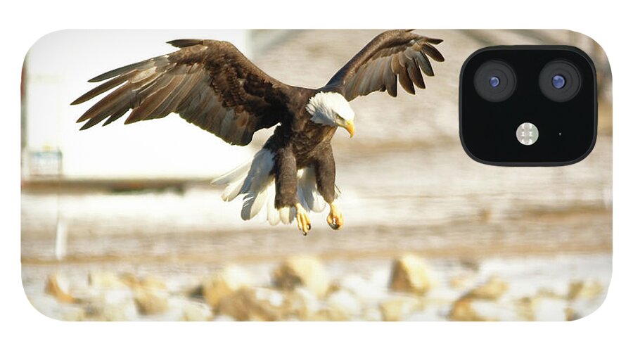 Bald Eagle iPhone 12 Case featuring the photograph Getting ready by Peter Ponzio