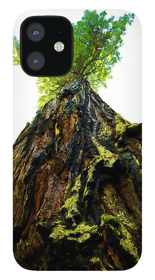 Humboldt County iPhone 12 Case featuring the photograph Giants of the Earth by Susan Vineyard