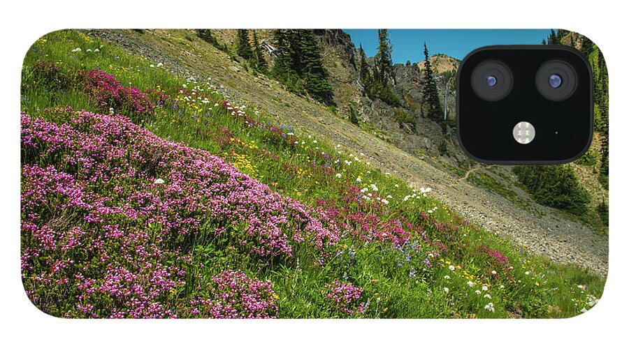 Pct iPhone 12 Case featuring the photograph Glorious Mountain Heather by Doug Scrima