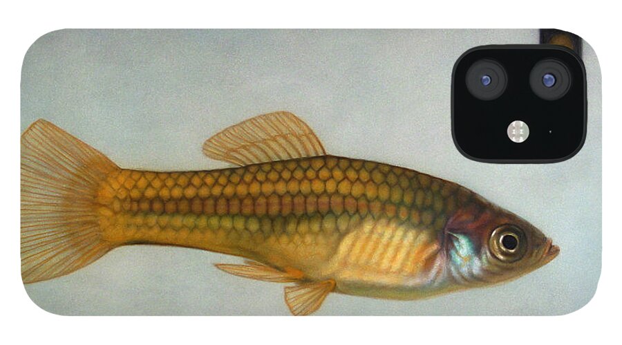 Fish iPhone 12 Case featuring the painting Go Fish by James W Johnson