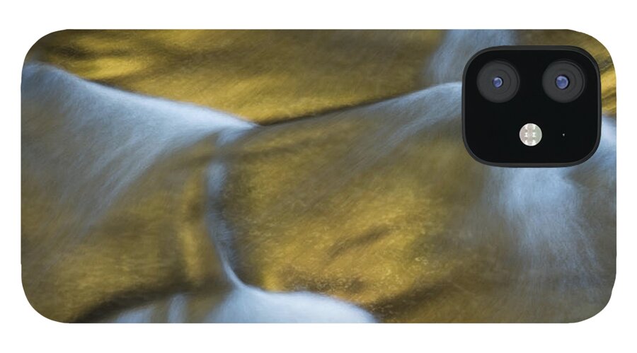 Art iPhone 12 Case featuring the photograph Gold Scales by Phil Spitze
