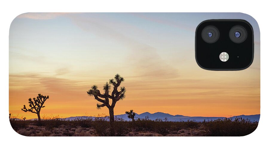 Joshua Tree iPhone 12 Case featuring the photograph Golden Mojave Desert Sunset by Aileen Savage