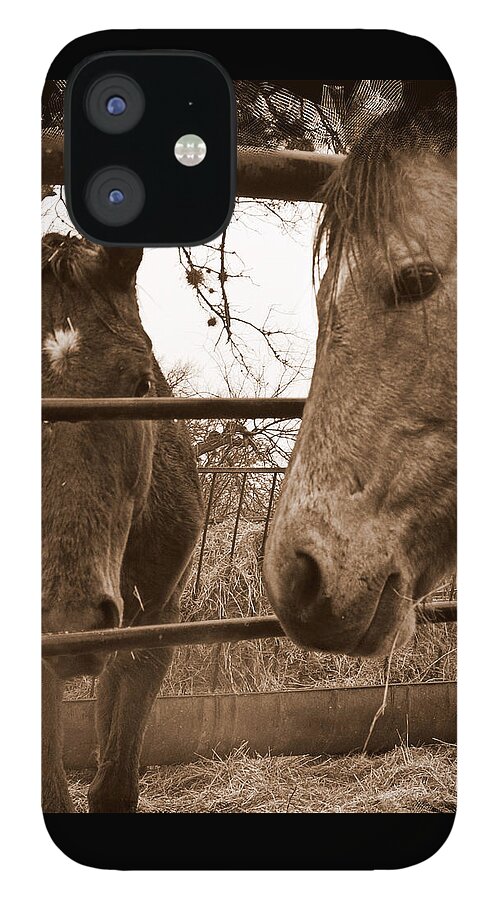 Horses iPhone 12 Case featuring the photograph Gossip at the Fence by Karen Musick