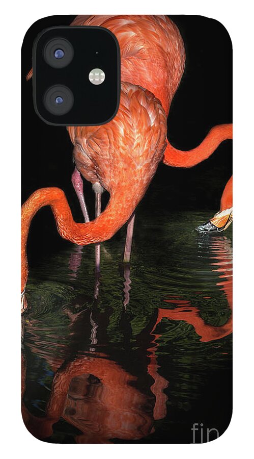 Fine Art iPhone 12 Case featuring the photograph Graceful Pink Flamingos Moving In Water by Liesl Walsh