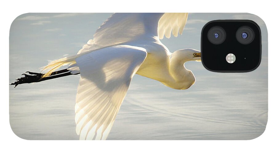 Wildlife iPhone 12 Case featuring the photograph Great Egret Glow by Brian Tada
