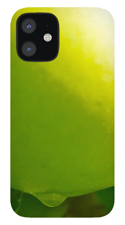 Food iPhone 12 Case featuring the photograph Green Apple by Jason Freedman