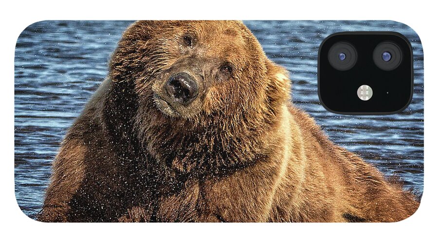 Grizzly iPhone 12 Case featuring the photograph Grizzly Bear Bathtime by Steven Upton