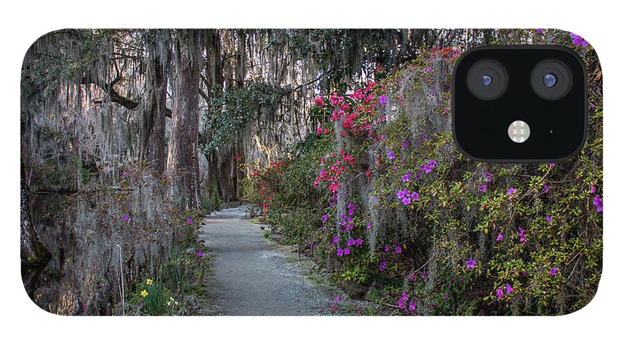 Magnolia iPhone 12 Case featuring the photograph Guide our feet into the path of peace. Luke 1.79 by Susie Weaver