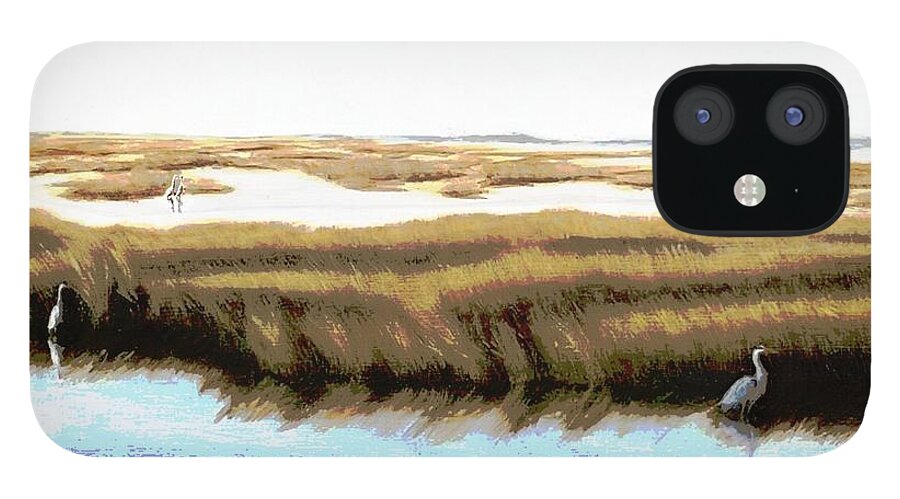 Seascapes iPhone 12 Case featuring the painting Gulf Coast Florida Marshes I by G Linsenmayer