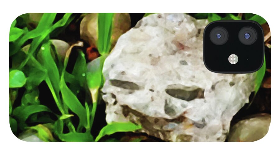 Smile iPhone 12 Case featuring the photograph Haight Ashbury Smiling Rock by Gina O'Brien