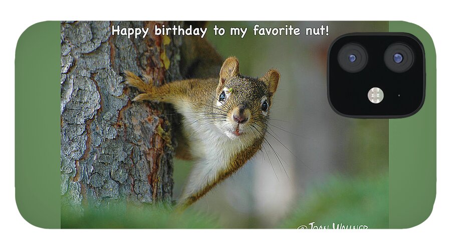Little Red Squirrel iPhone 12 Case featuring the photograph Happy birthday to my favorite nut by Joan Wallner
