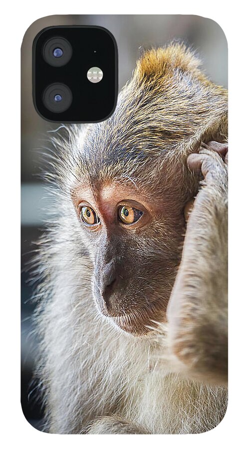 Monkey iPhone 12 Case featuring the photograph Hello, Monkey Here by Rick Deacon