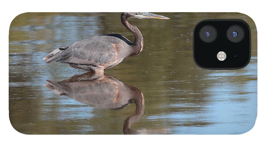 Heron iPhone 12 Case featuring the photograph Heron by John Moyer