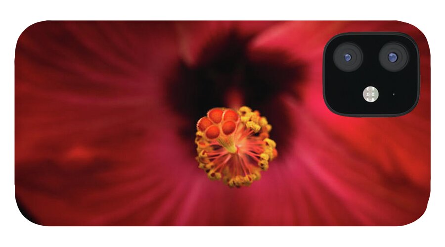 Jay Stockhaus iPhone 12 Case featuring the photograph Hibiscus by Jay Stockhaus