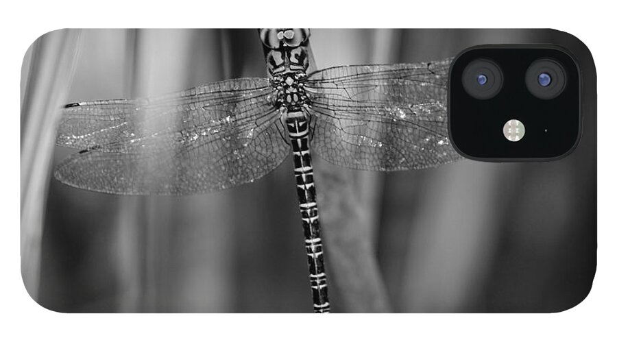 Dragonfly iPhone 12 Case featuring the photograph Hidden Dragon by Julie Adair