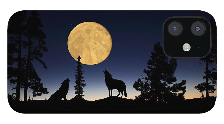 Carnivore iPhone 12 Case featuring the photograph Hidden Wolves by Shane Bechler