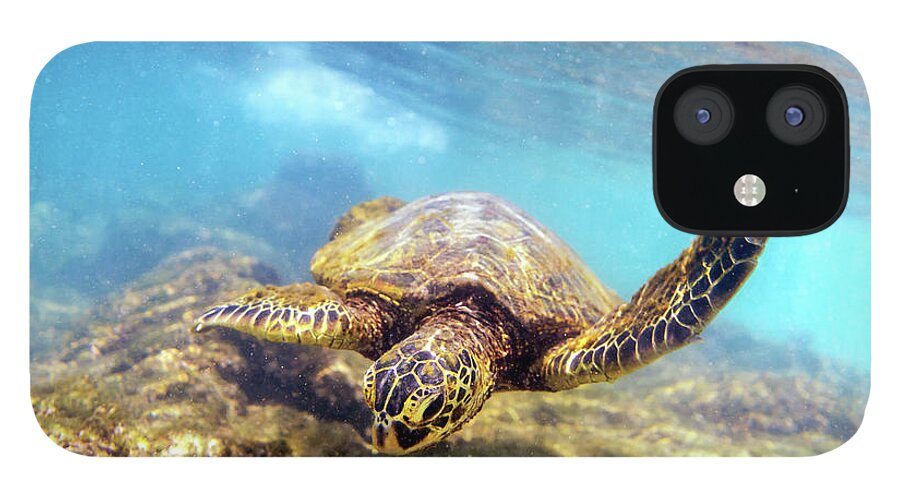 Chris Johnson iPhone 12 Case featuring the photograph Honu by Christopher Johnson
