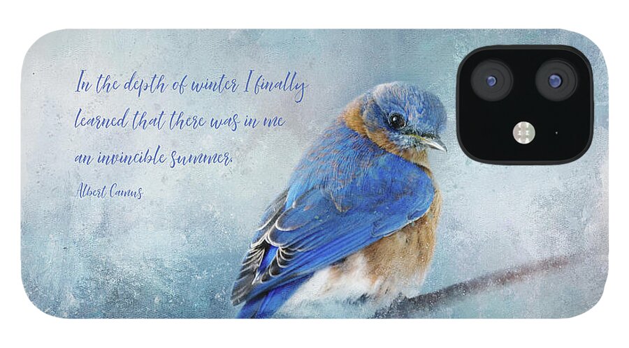 Photography iPhone 12 Case featuring the digital art Hope in Winter by Terry Davis