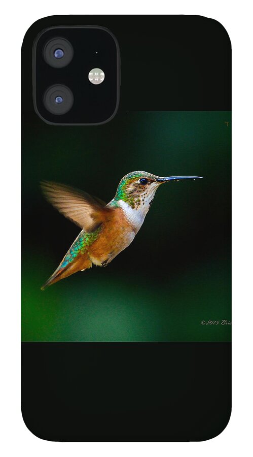 Allen's Hummingbird iPhone 12 Case featuring the photograph Hovering Allen's Hummingbird by Brian Tada