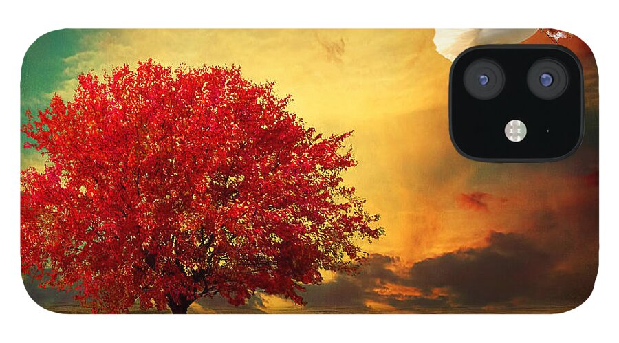 Maple Tree iPhone 12 Case featuring the photograph Hued by Lourry Legarde