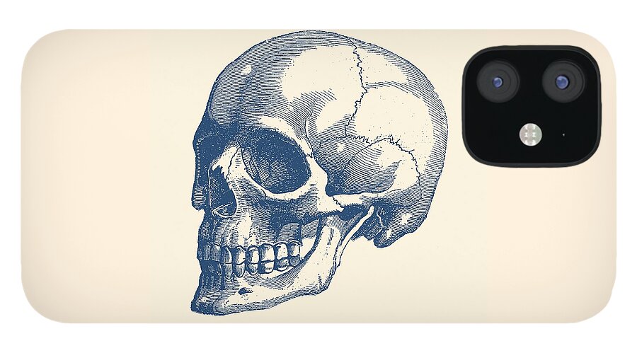 Skeleton iPhone 12 Case featuring the drawing Human Skull - Vintage Anatomy Poster by Vintage Anatomy Prints