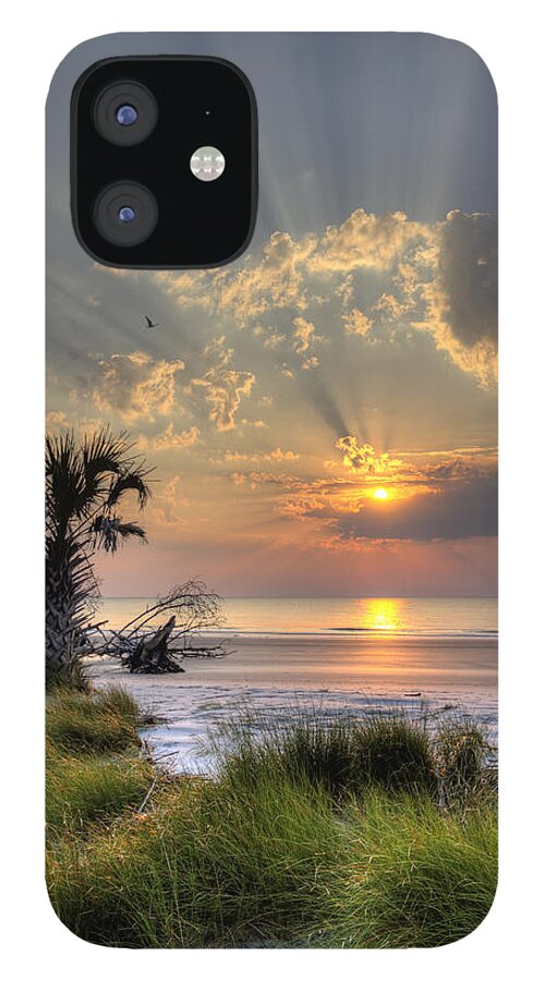 Hunting Island iPhone 12 Case featuring the photograph Hunting Island SC Sunrise Palm by Dustin K Ryan