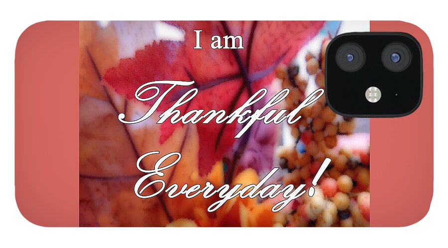 Art iPhone 12 Case featuring the photograph I am Thankful # 6059 by Barbara Tristan