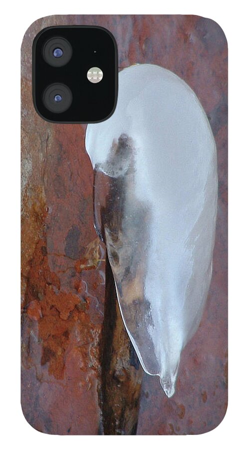 Ice iPhone 12 Case featuring the photograph Ice Birdy by Annekathrin Hansen