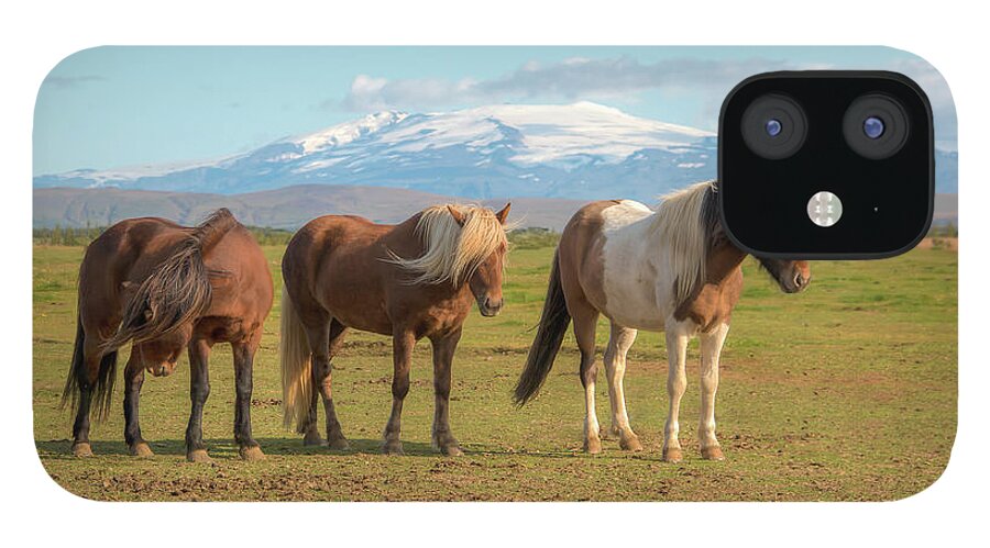 Icelandic Horse iPhone 12 Case featuring the photograph Icelanders 0639 by Kristina Rinell