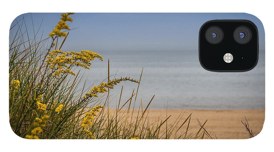 Beach iPhone 12 Case featuring the photograph Indiana Dunes on Lake Michigan by Ron Pate