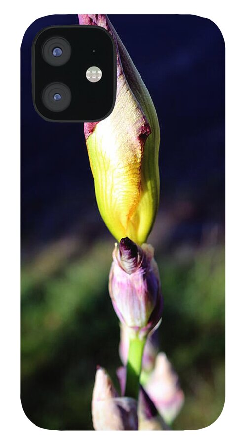 Iris iPhone 12 Case featuring the photograph Iris bud by Jean Evans