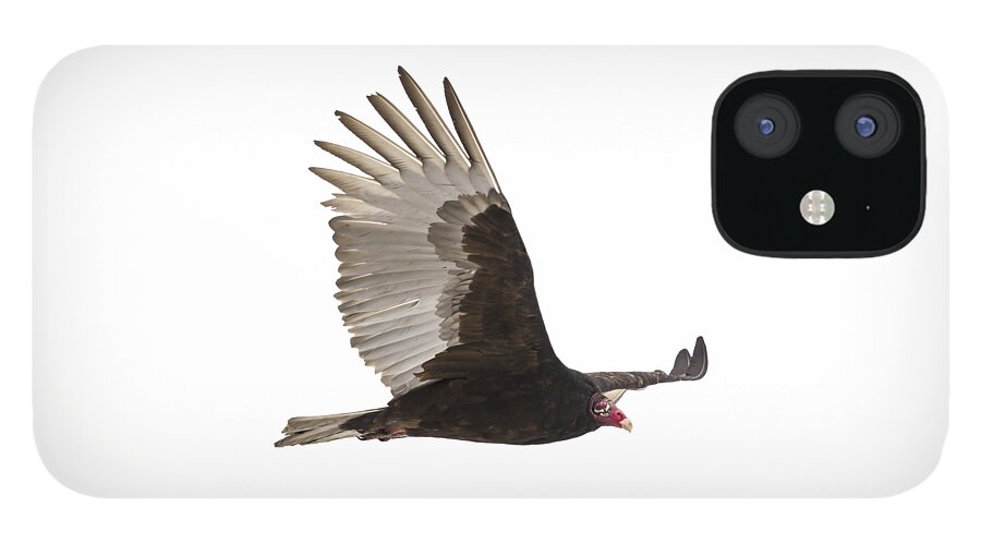 Turkey Vulture iPhone 12 Case featuring the photograph Isolated Turkey Vulture 2014-1 by Thomas Young
