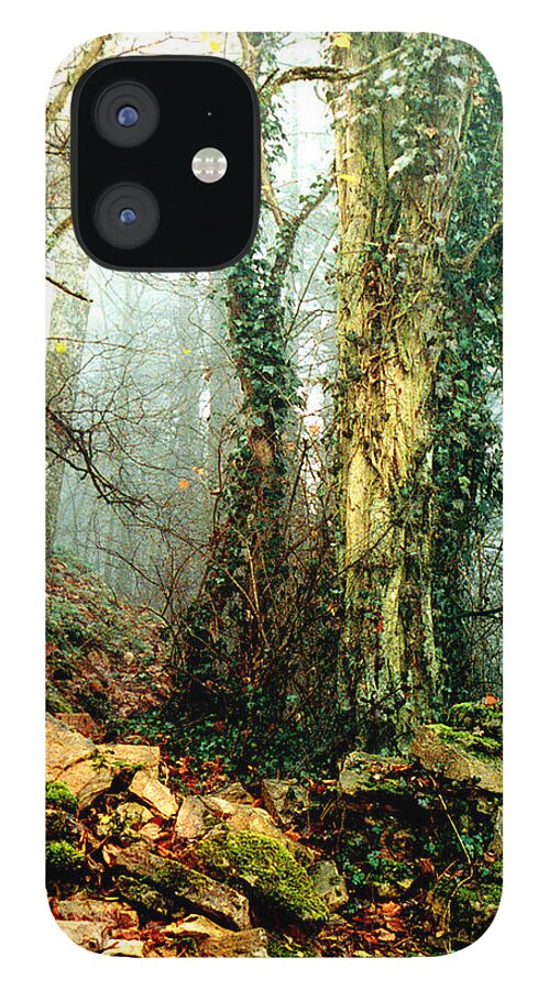 Ivy iPhone 12 Case featuring the photograph Ivy in the Woods by Nancy Mueller
