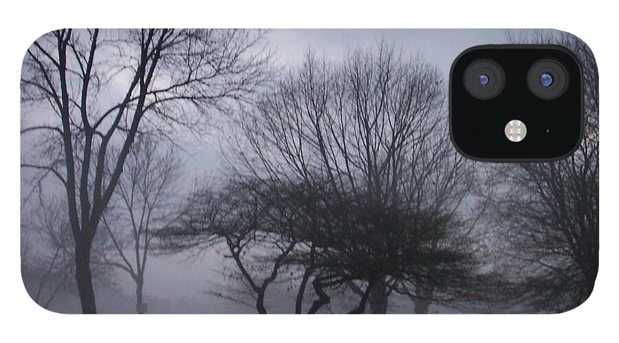 January iPhone 12 Case featuring the photograph January fog 6 by Anita Burgermeister
