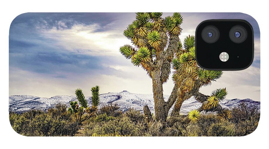 Joshua iPhone 12 Case featuring the photograph Joshua Tree on the Extraterrestrial Highway by Janis Knight