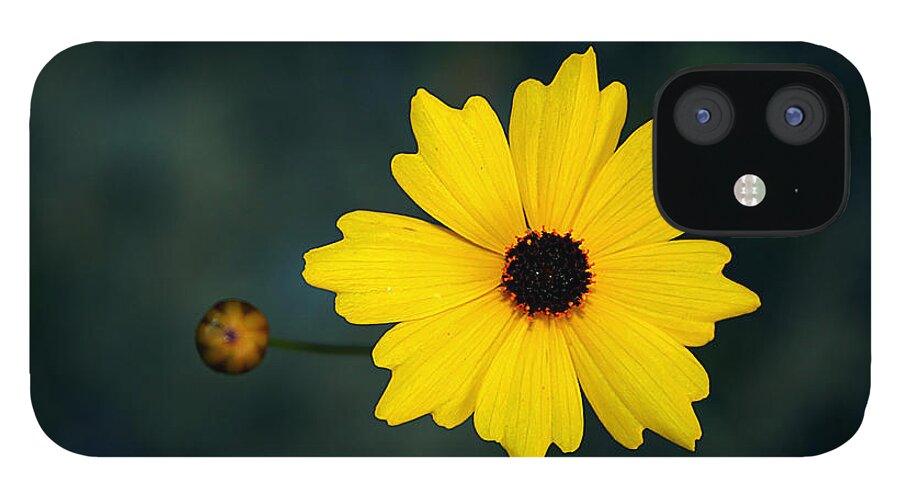 Flower iPhone 12 Case featuring the photograph Joy by LR Photography