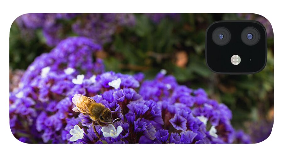 Bee iPhone 12 Case featuring the photograph Just a quick stop by Lora Lee Chapman
