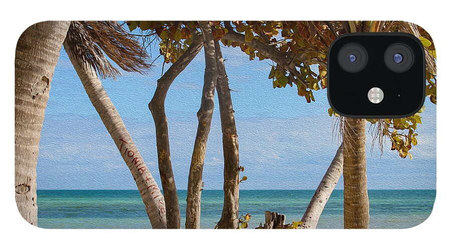 Bonnie Follett iPhone 12 Case featuring the photograph Key West Afternoon by Bonnie Follett