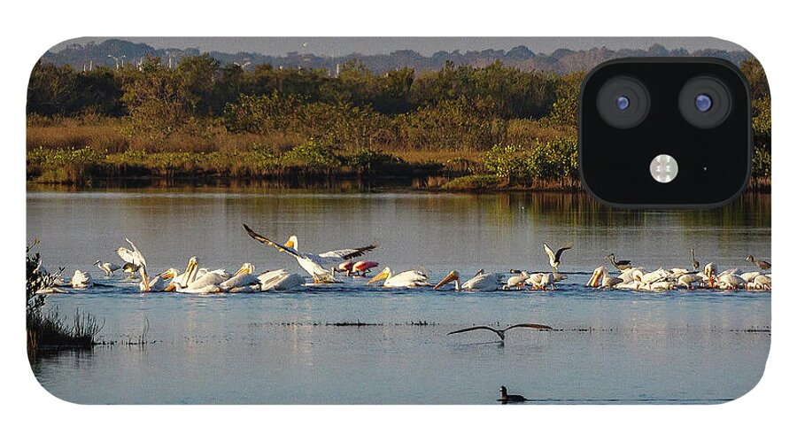 Birds iPhone 12 Case featuring the photograph Kids playing in the water by Les Greenwood