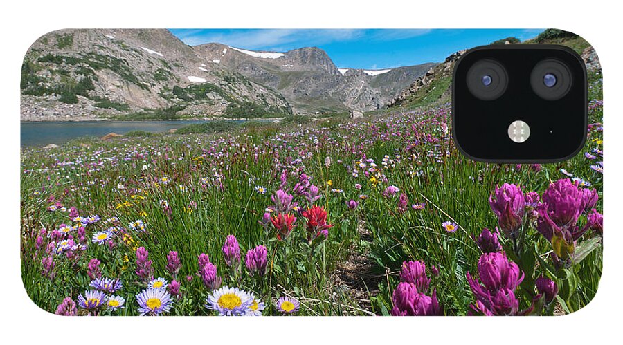 King Lake iPhone 12 Case featuring the photograph King Lake Summer Landscape by Cascade Colors