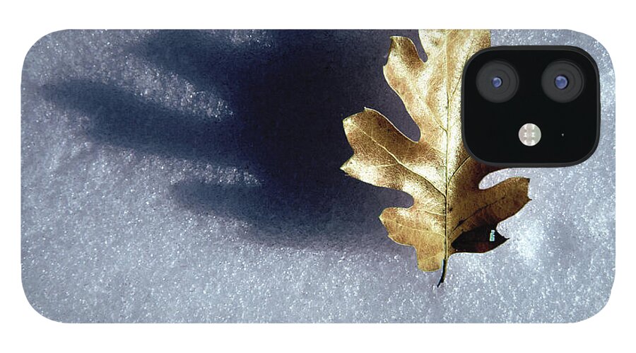 Photography iPhone 12 Case featuring the photograph Leaf on Snow by Paul Wear