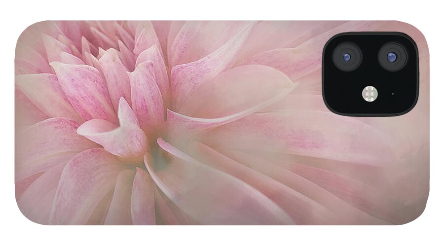 Dahlia iPhone 12 Case featuring the photograph Softness of a Dahlia by Jill Love