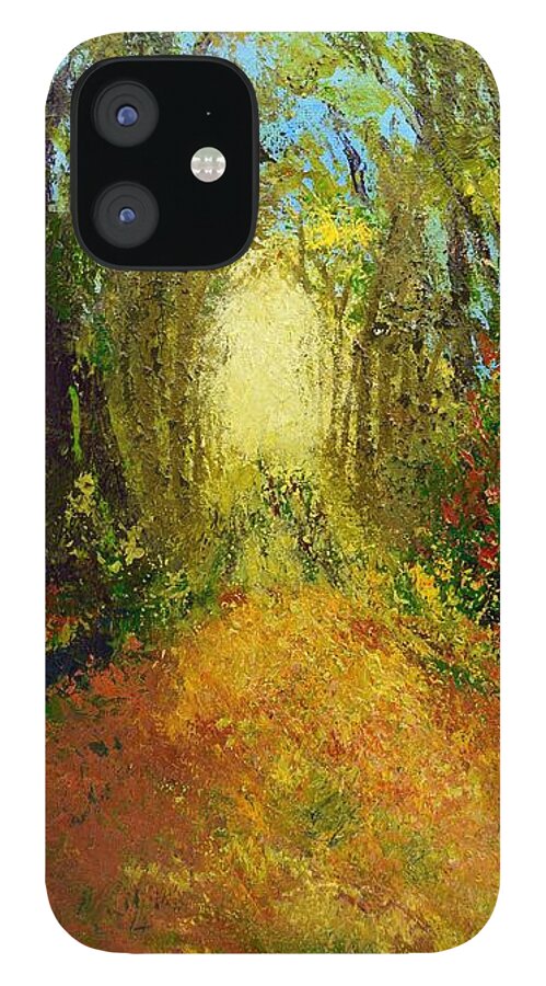  iPhone 12 Case featuring the painting Light At the End by Barrie Stark