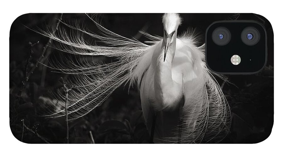 Great White Heron iPhone 12 Case featuring the photograph Light from Shadows by Julie Adair