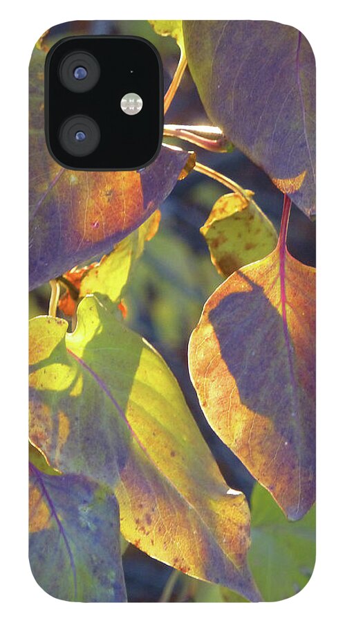 Lilacs iPhone 12 Case featuring the photograph Lilac Leaves by Cris Fulton
