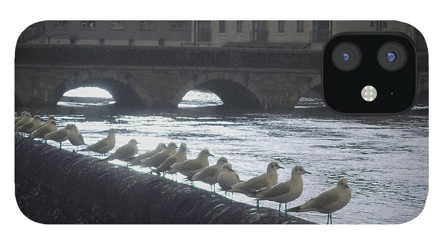 Birds iPhone 12 Case featuring the photograph Line of Birds by Tim Nyberg