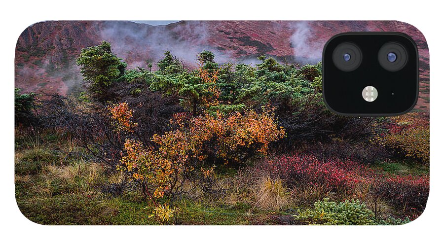 Alaska iPhone 12 Case featuring the photograph Lingering Autumn Reds by Tim Newton